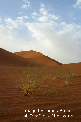 Sahara Desert (3)