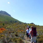 F is for Fire and Fynbos
