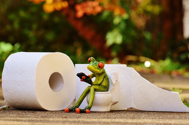 frog-1037252_640